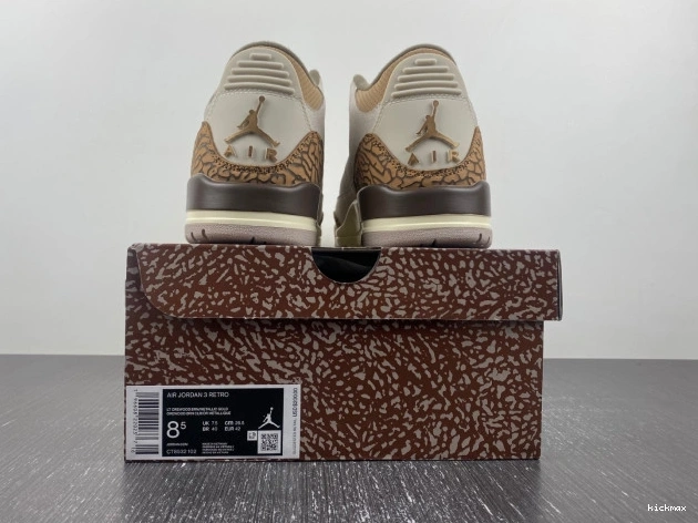 Rep Palomino 3 Jordan CT8532-102 Air 0713